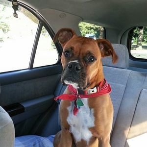 Meet your Posher, Desiree